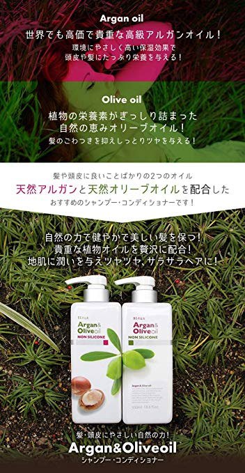 日本熊野 Deve - 堅果橄欖油洗髮精  - 550ml
