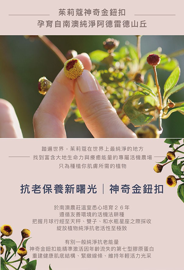 Jurlique 茱莉蔻 - 臻萃奇蹟緊緻精華  - 30ml