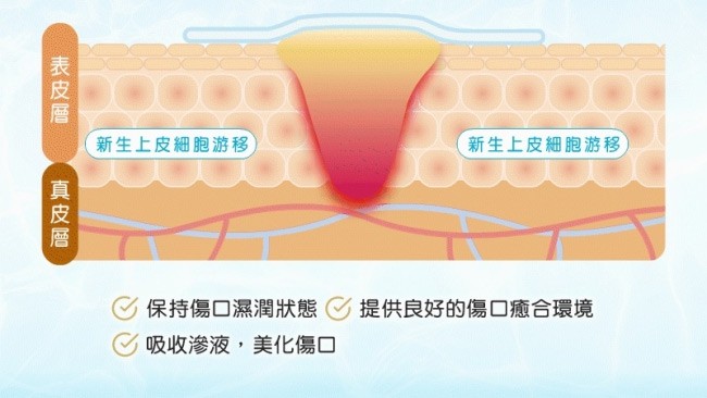 3M - 人工皮防水透氣繃 - 6片