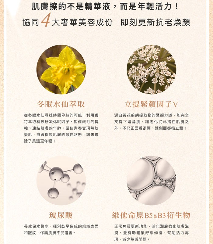 Paradiso Garden 天堂花園 - 山茶花無齡緊緻精華  - 30ml