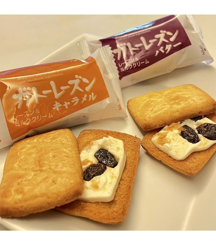 Bourbon 北日本 - GATEAU奶油葡萄乾派家庭包 - 奶油風味/焦糖風味 - 170g