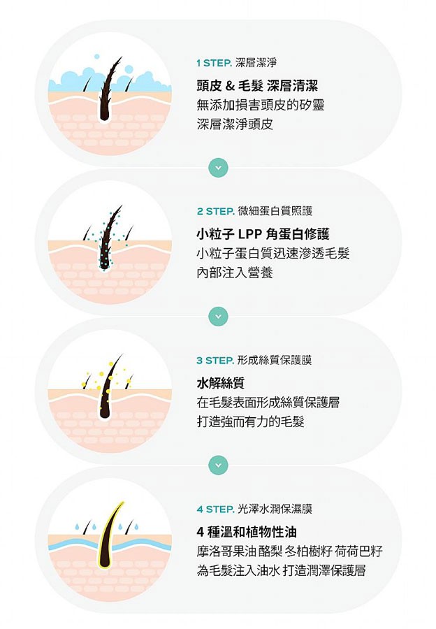 MYHUO LifeStyle 買貨生活 - La dor 拉朵爾 LPP角蛋白洗髮乳  - 530ml