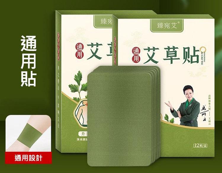 MYHUO Sundries 買貨小東西 - 臻宛艾 艾草貼布 - 頸椎貼 - 12入