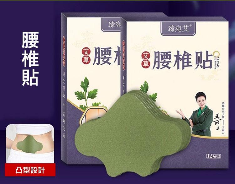 MYHUO Sundries 買貨小東西 - 臻宛艾 艾草貼布 - 頸椎貼 - 12入