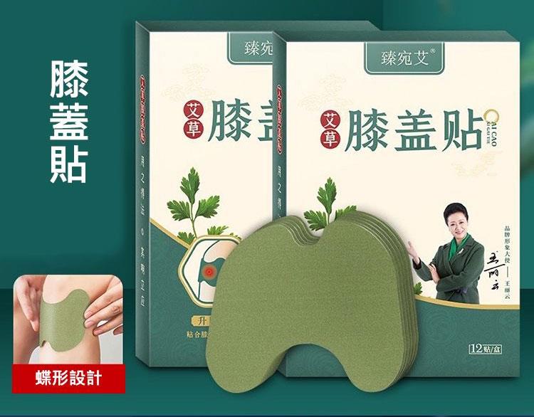 MYHUO Sundries 買貨小東西 - 臻宛艾 艾草貼布 - 頸椎貼 - 12入