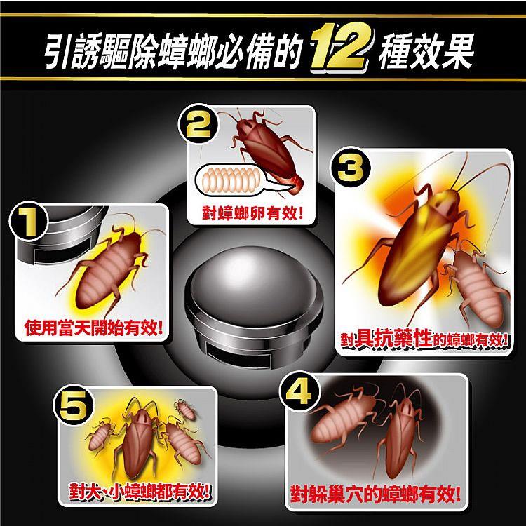 MYHUO LifeStyle 買貨生活 - 日本 興家安速 小黑帽蟑螂餌劑  - 12入