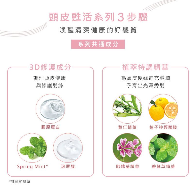 ORBIS 奧蜜思 - 頭皮甦活護髮霜  - 200g