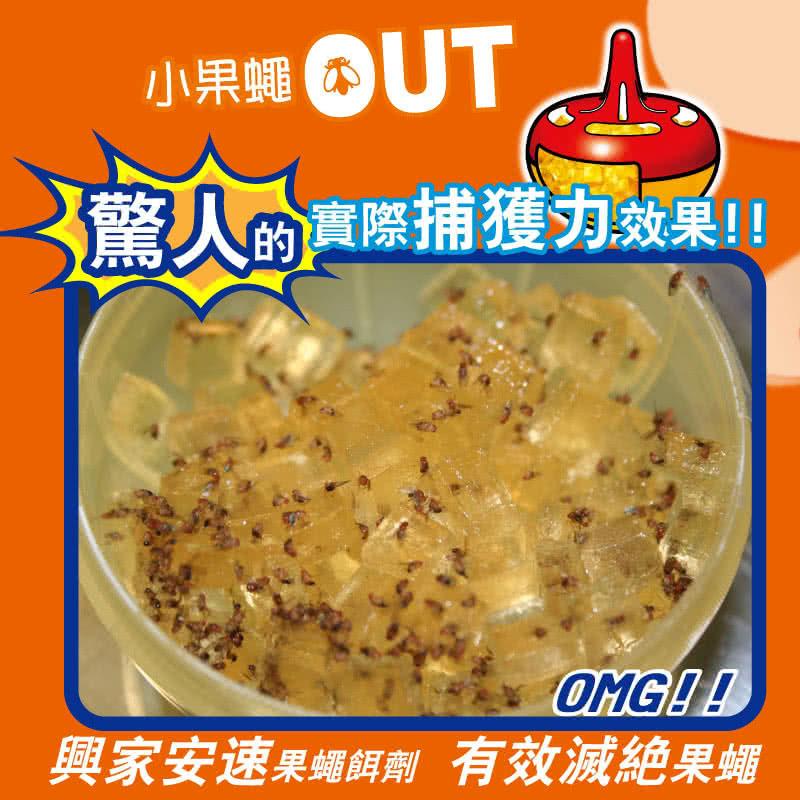 MYHUO Sundries 買貨小東西 - 興家安速 果蠅餌劑  - 38g