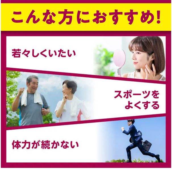 DHC - 輔酶 Q10  - 60日份(120粒)