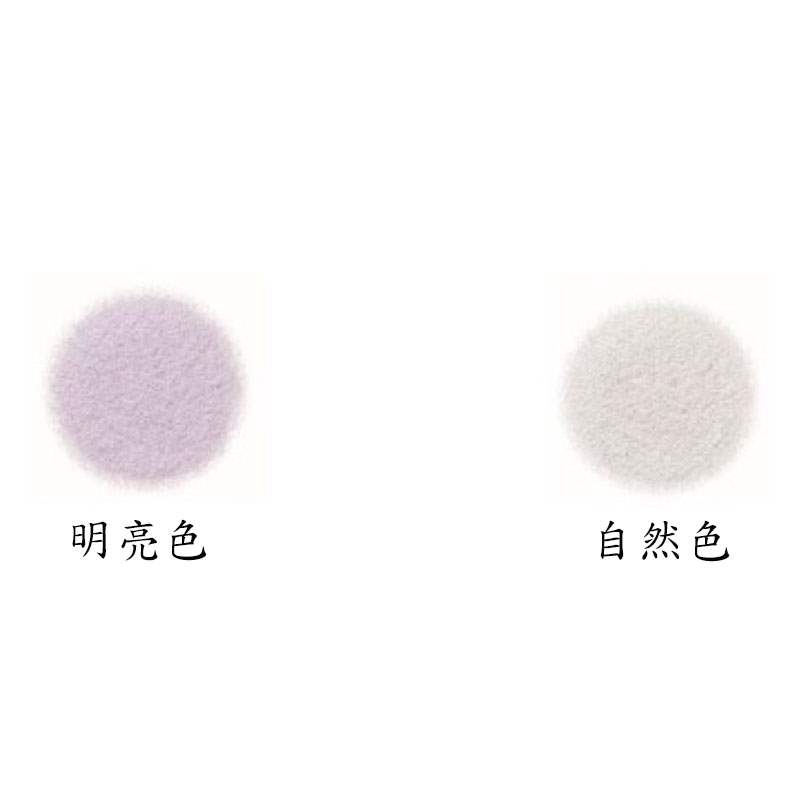 SHISEIDO TOKYO 資生堂東京櫃 - 輕羽拋光蜜粉 - 8g
