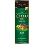 CIELO - 染色護髮膜