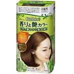 日本直購專區 - Blaune 香氛亮澤彩染髮劑